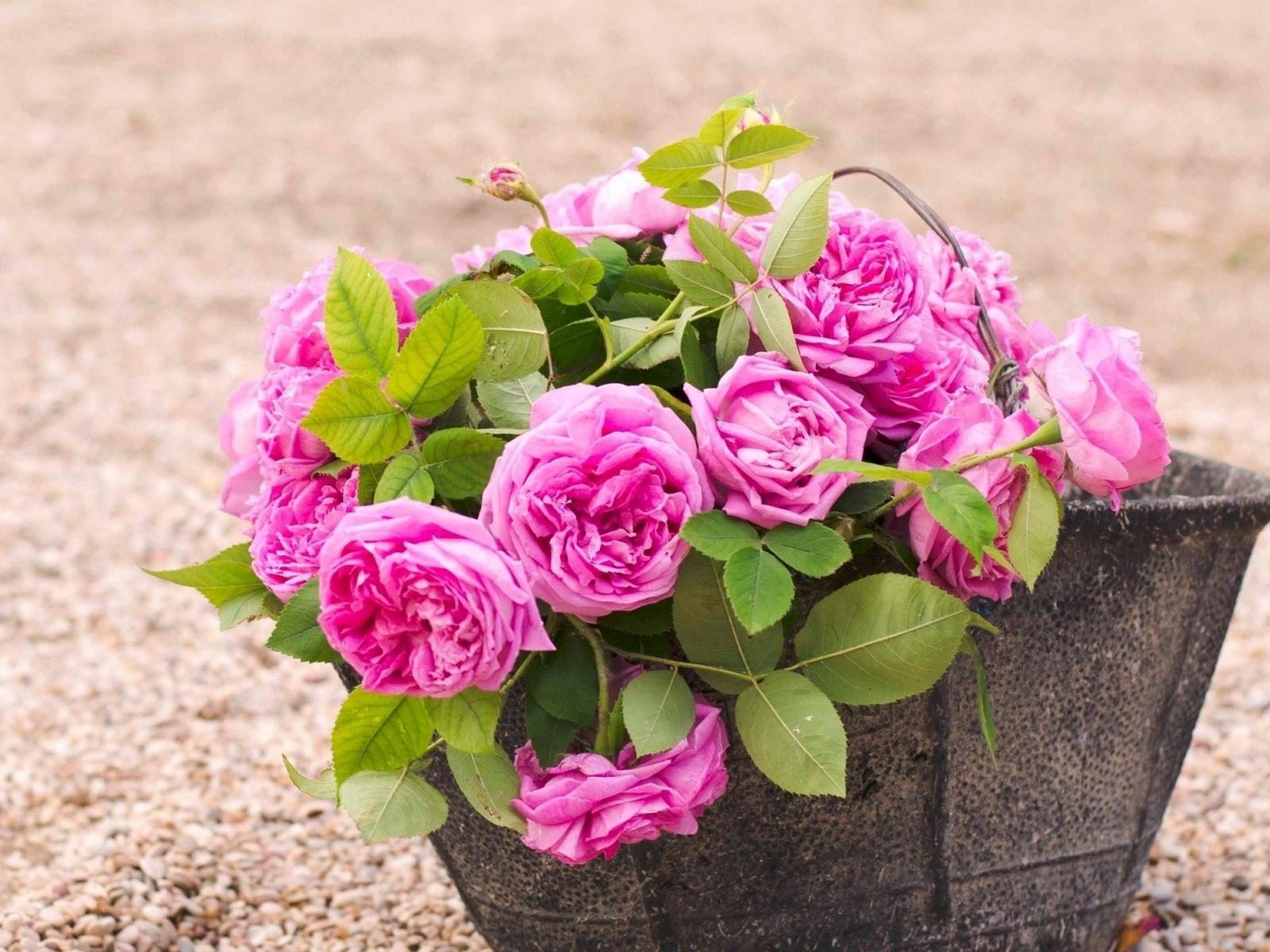 Bucket Wallpapers - Wallpaper Cave