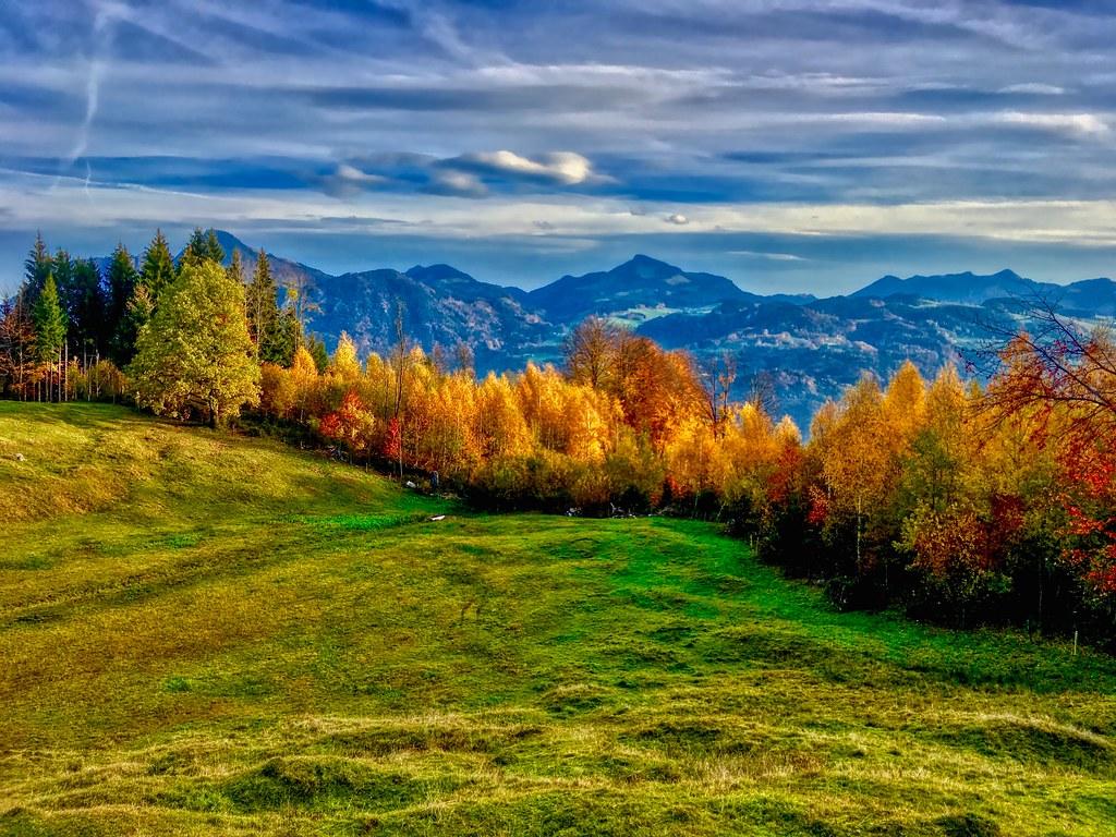 Colors of fall on Hocheck near Oberaudorf, Bavaria