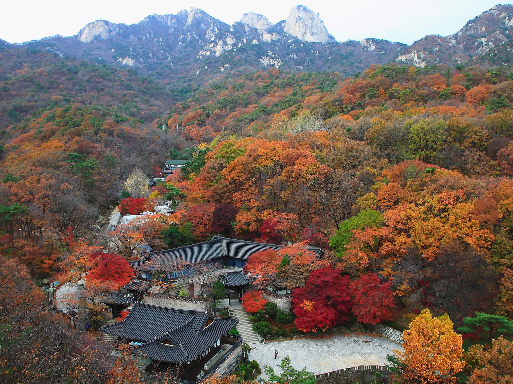 Breathtaking Fall Foliage Destinations Around the World