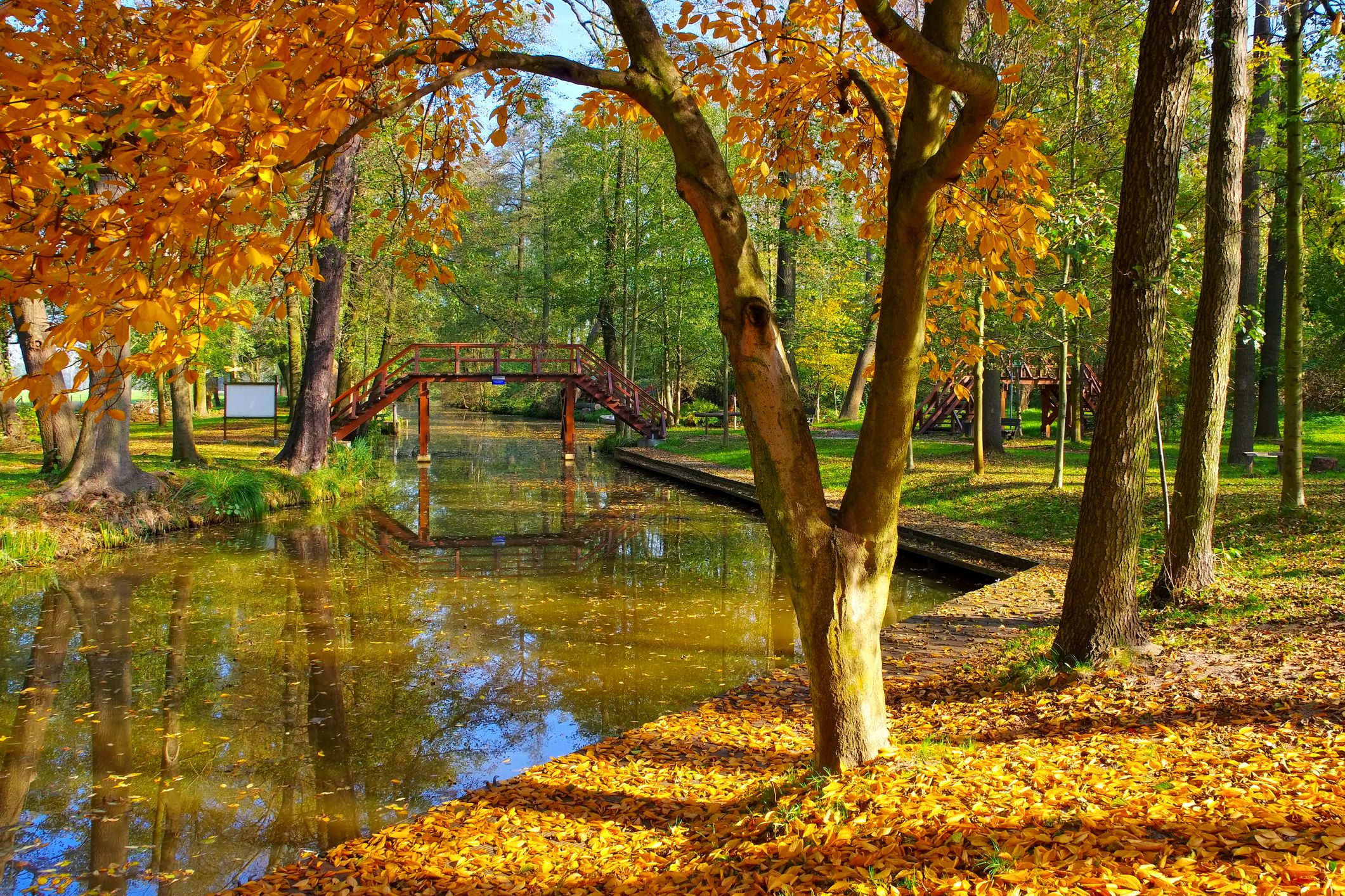 Places to See Autumn Leaves in Germany