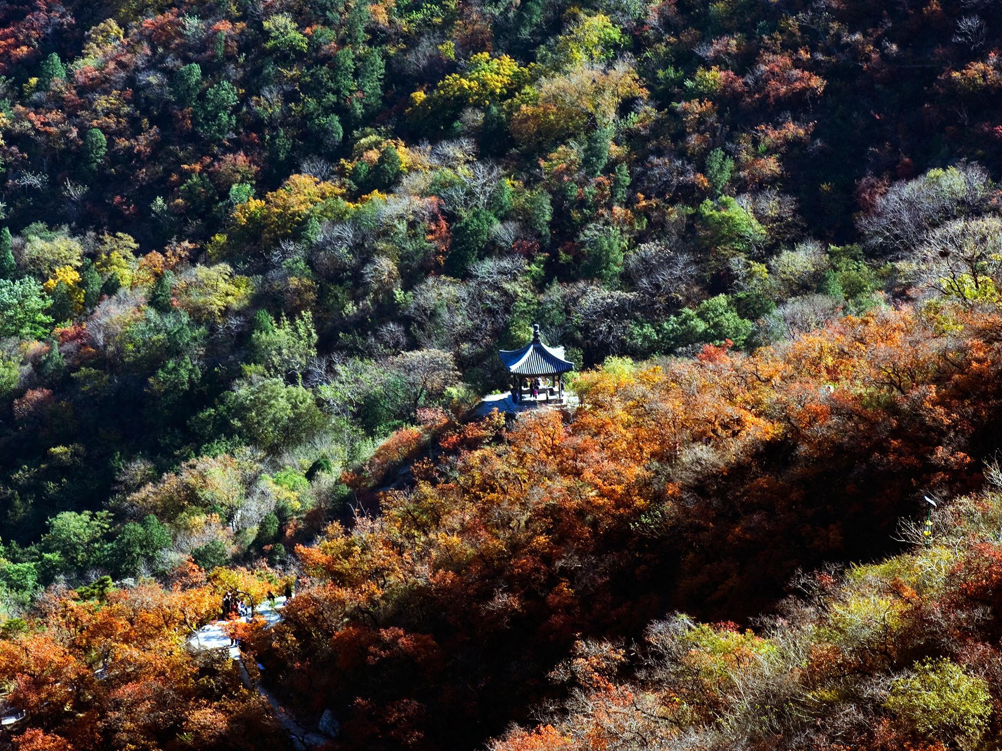 Breathtaking Fall Foliage Destinations Around the World