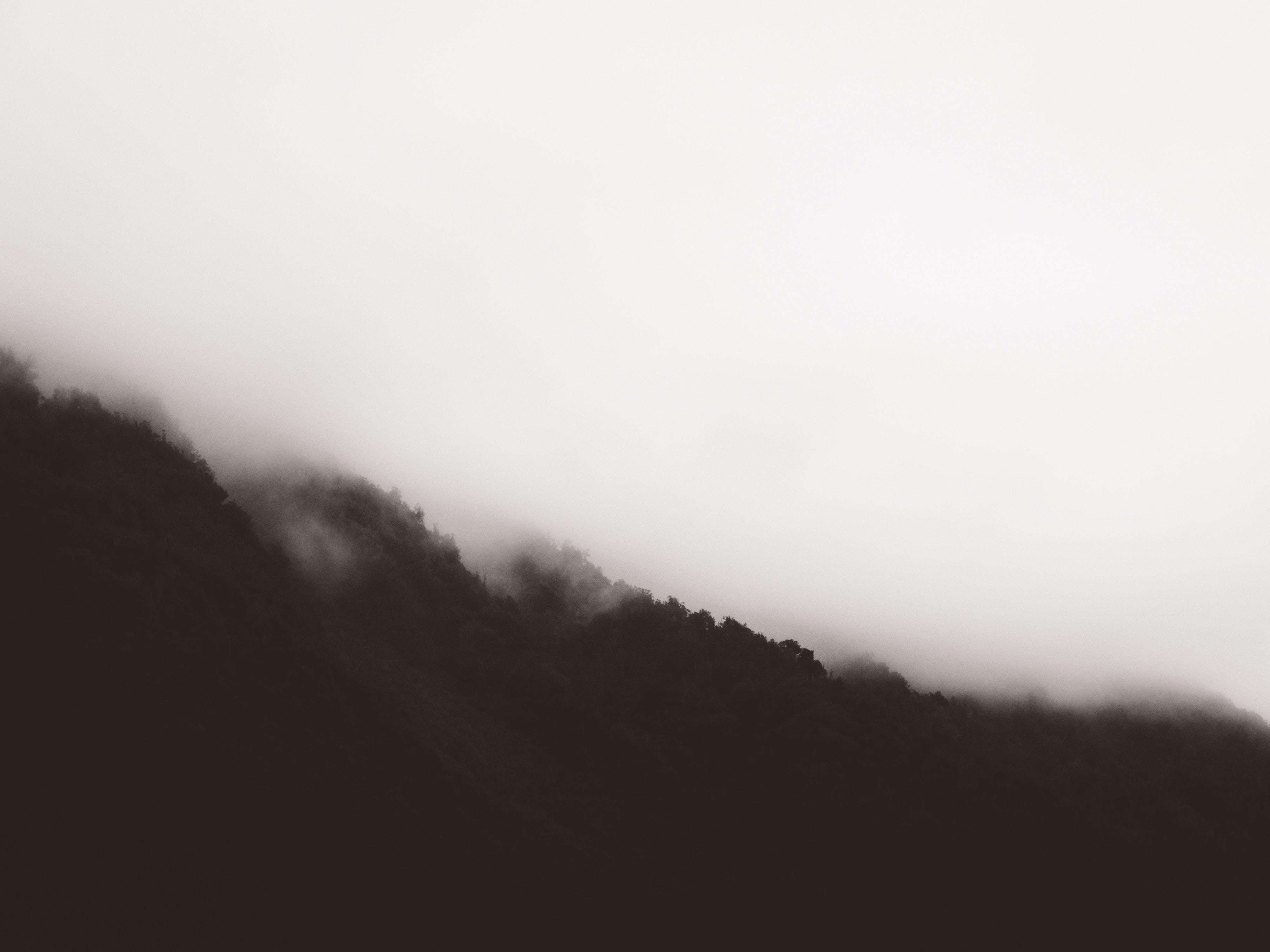 4000x3000 #white, #wallpaper, #Free picture, #trees, #desktop, #simple, #mountain, #black, #black and white, #minimal, #mist, #fade, #cloud, #slope, #background, #fog, #monochrome, #clouds, #haze, #tree, # foggy HD Wallpaper