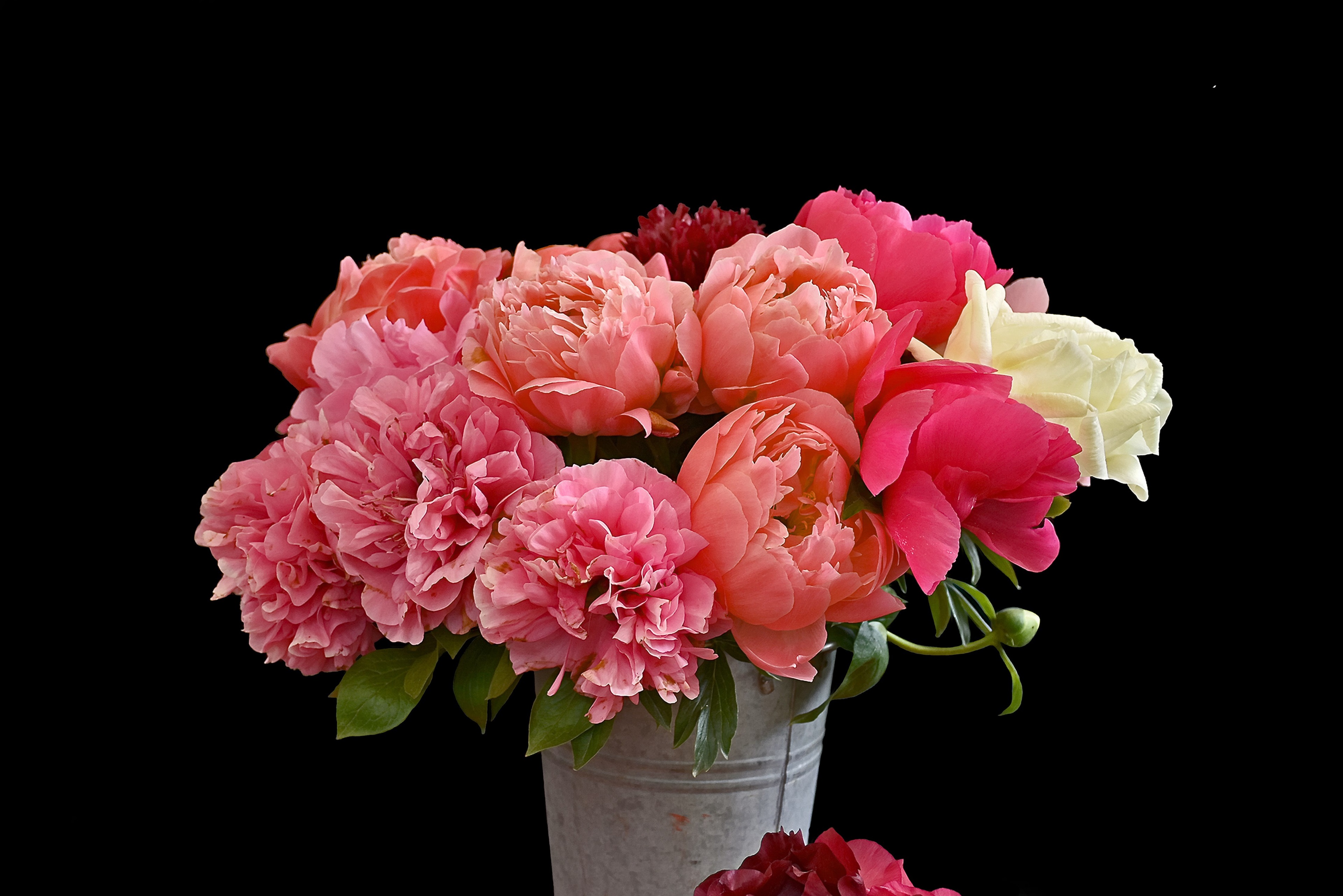 Rustic Peonies Bouquet Wallpapers - Wallpaper Cave