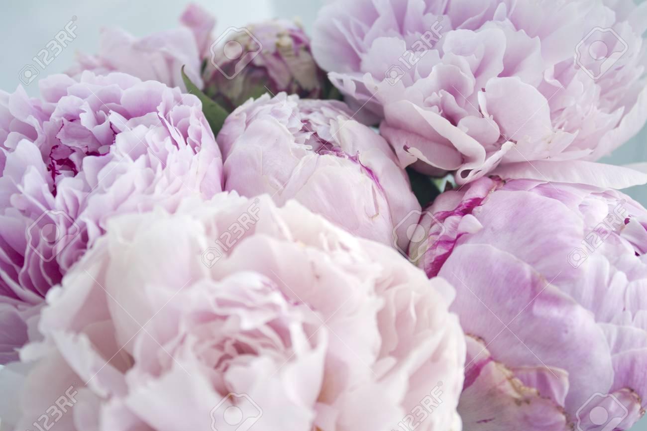 Rustic Peonies Bouquet Wallpapers - Wallpaper Cave