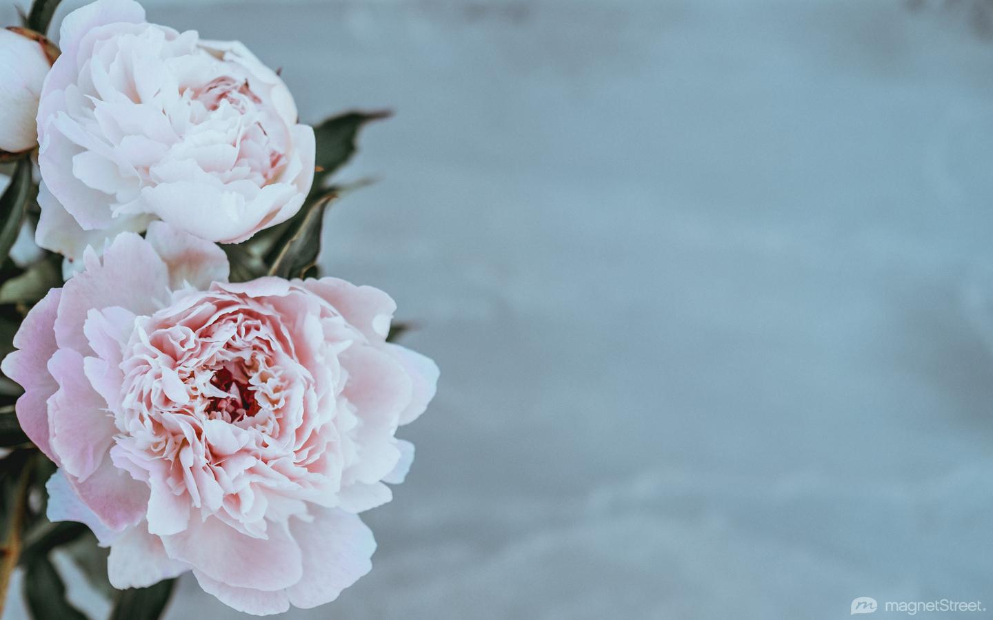 Rustic Peonies Bouquet Wallpapers - Wallpaper Cave