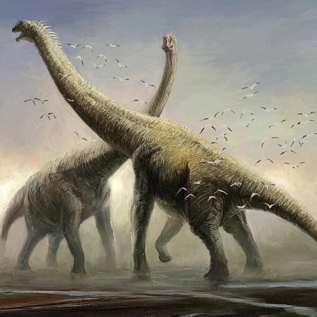 Wallpaper Dinosaurs Brachiosaurus 2 animal Ancient animals
