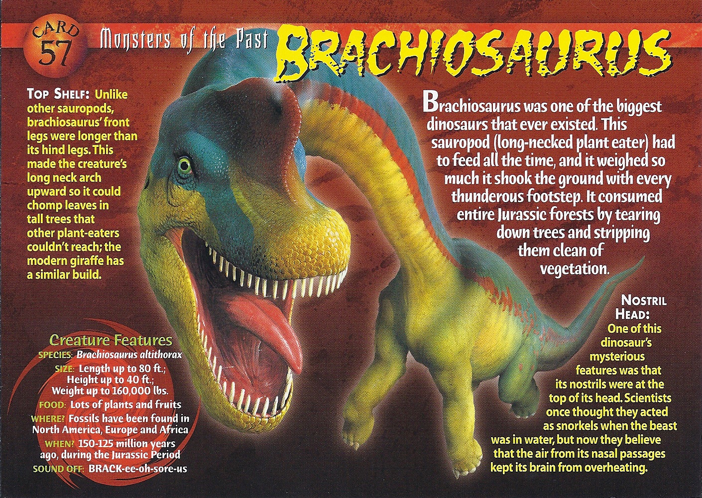Brachiosaurus. Weird n' Wild Creatures