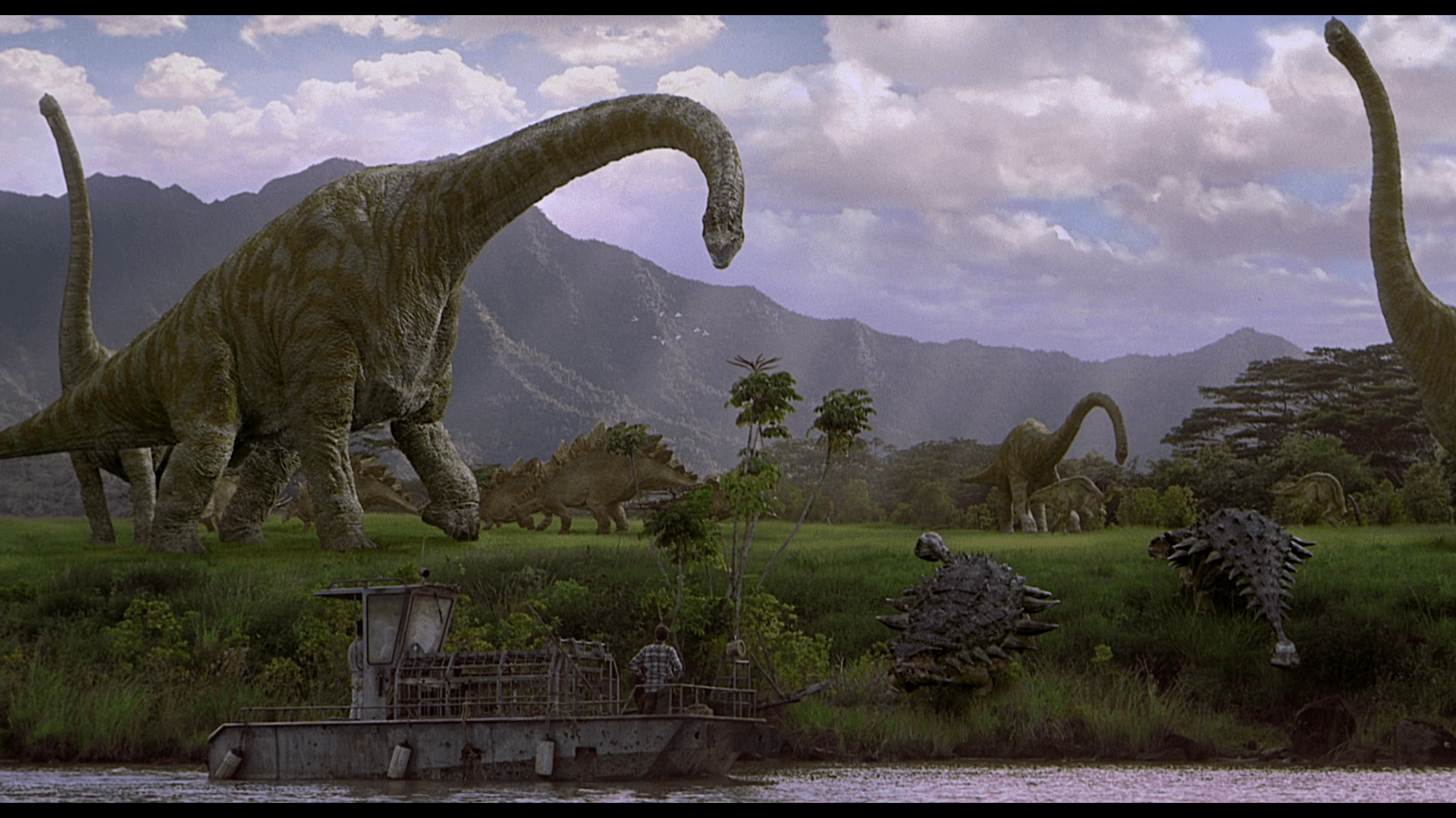 Brachiosaurus Wallpaper