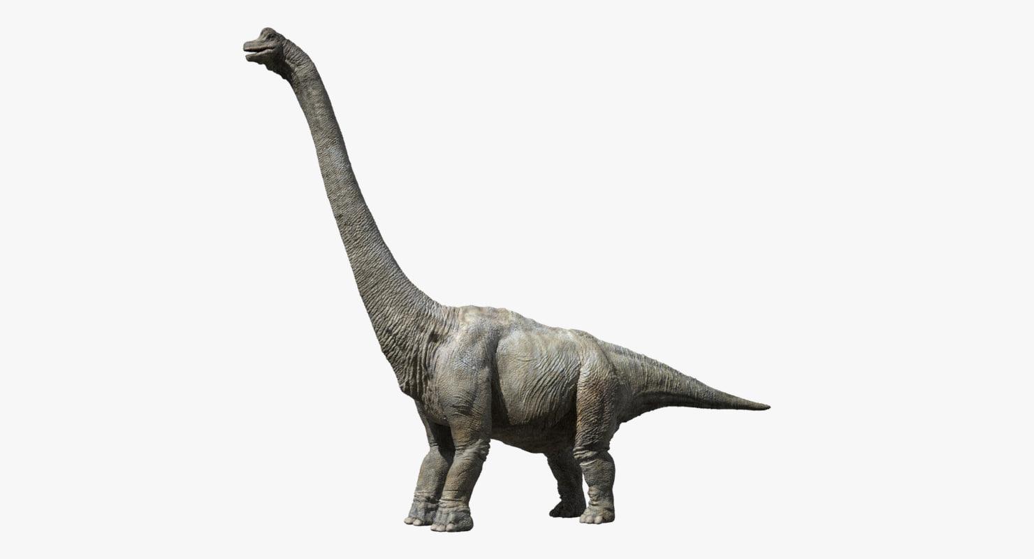 Brachiosaurus (image in Collection)