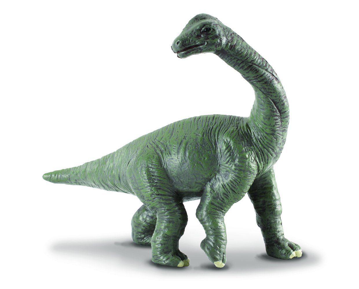 Brachiosaurus Baby