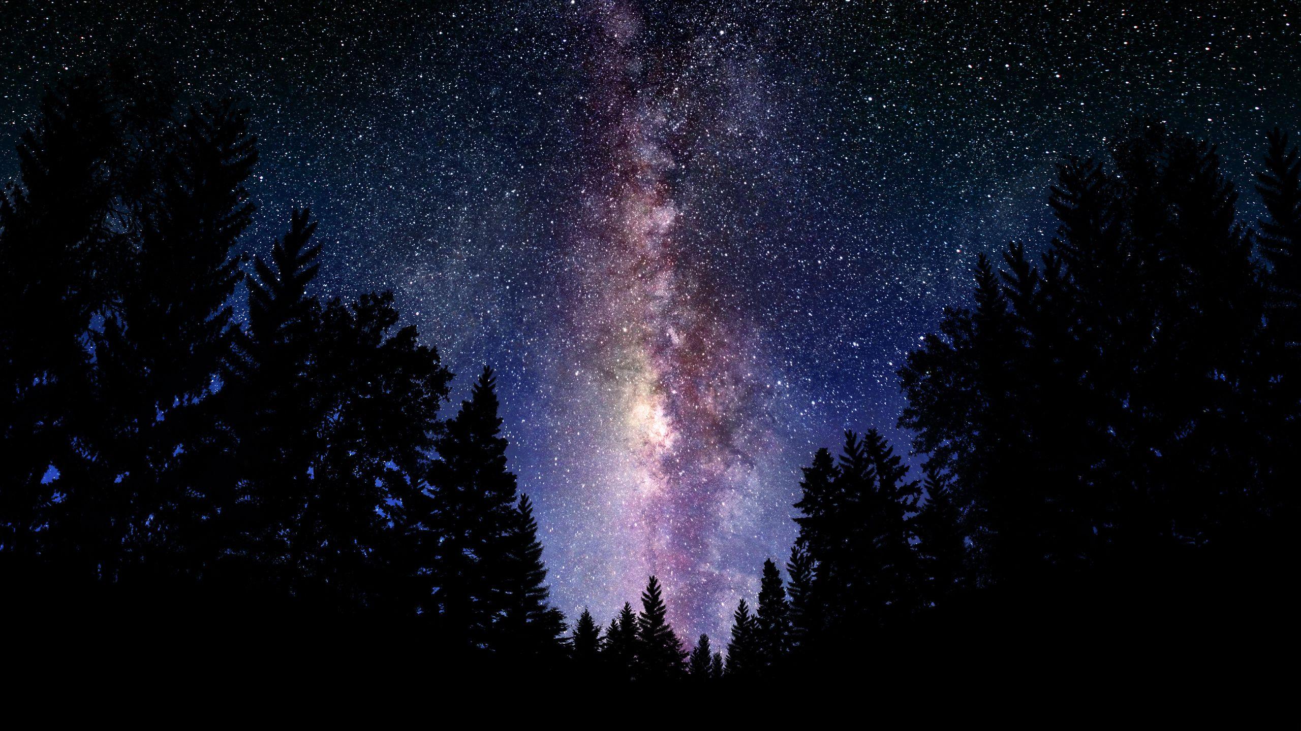 Milky Way, forest, sky, stars, trees, silhouette, night 2560x1440