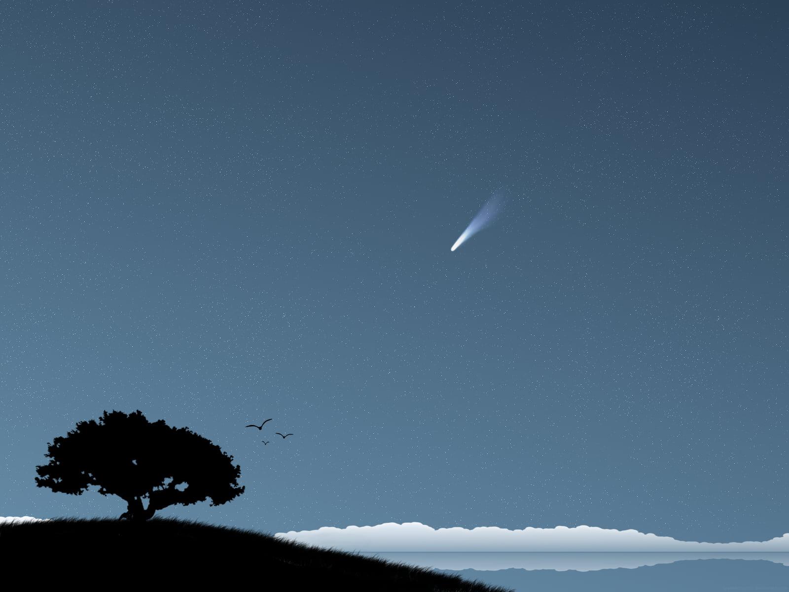 Silhouette of lone tree, trees, stars, comet, artwork HD