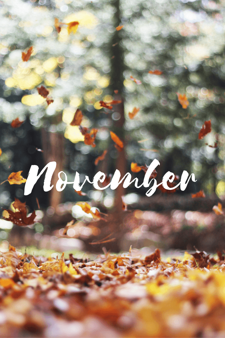 Hello, November Leaves Falling