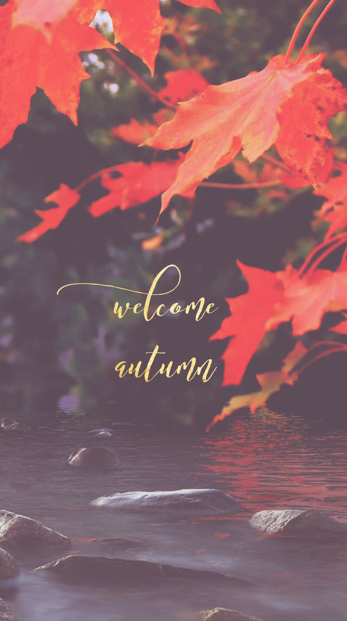 Autumn Welcome iPhone Mobile Wallpaper Edit