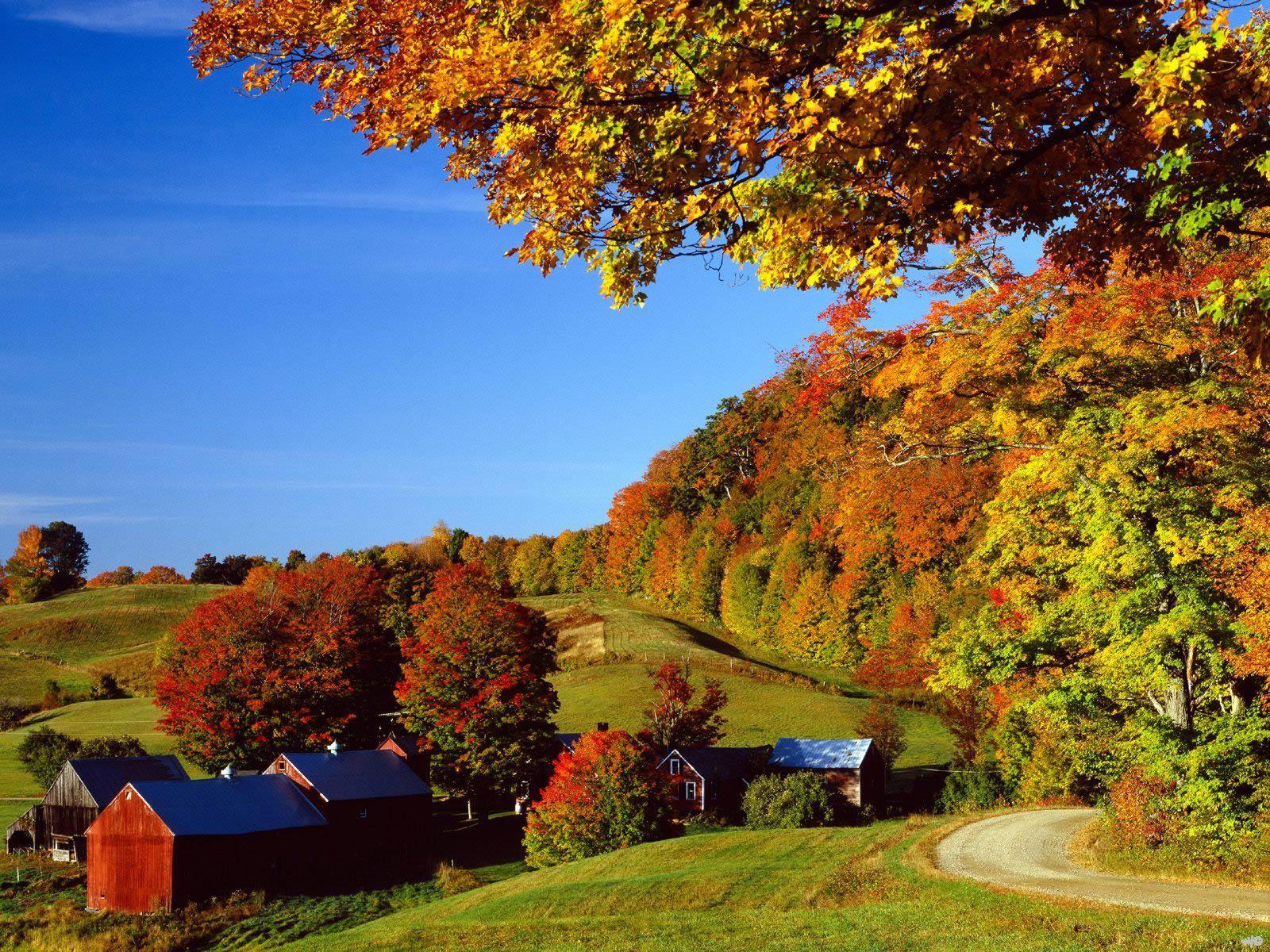 landscapes. Landscapes Woodstock In Autumn Vermont