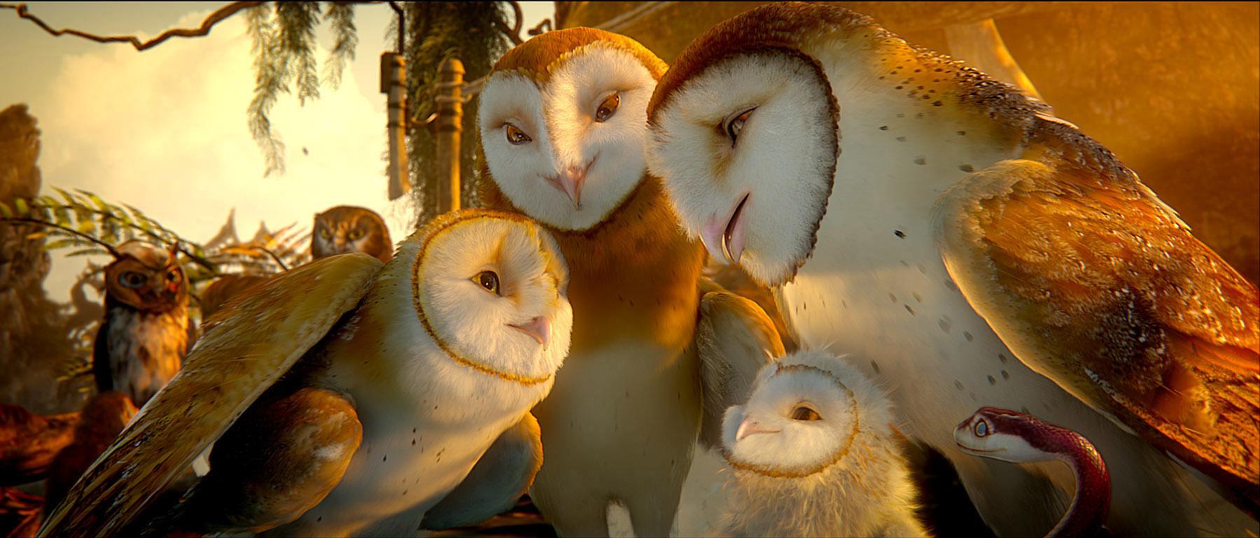 LEGEND OF THE GUARDIANS: THE OWLS OF GA'HOOLE Image