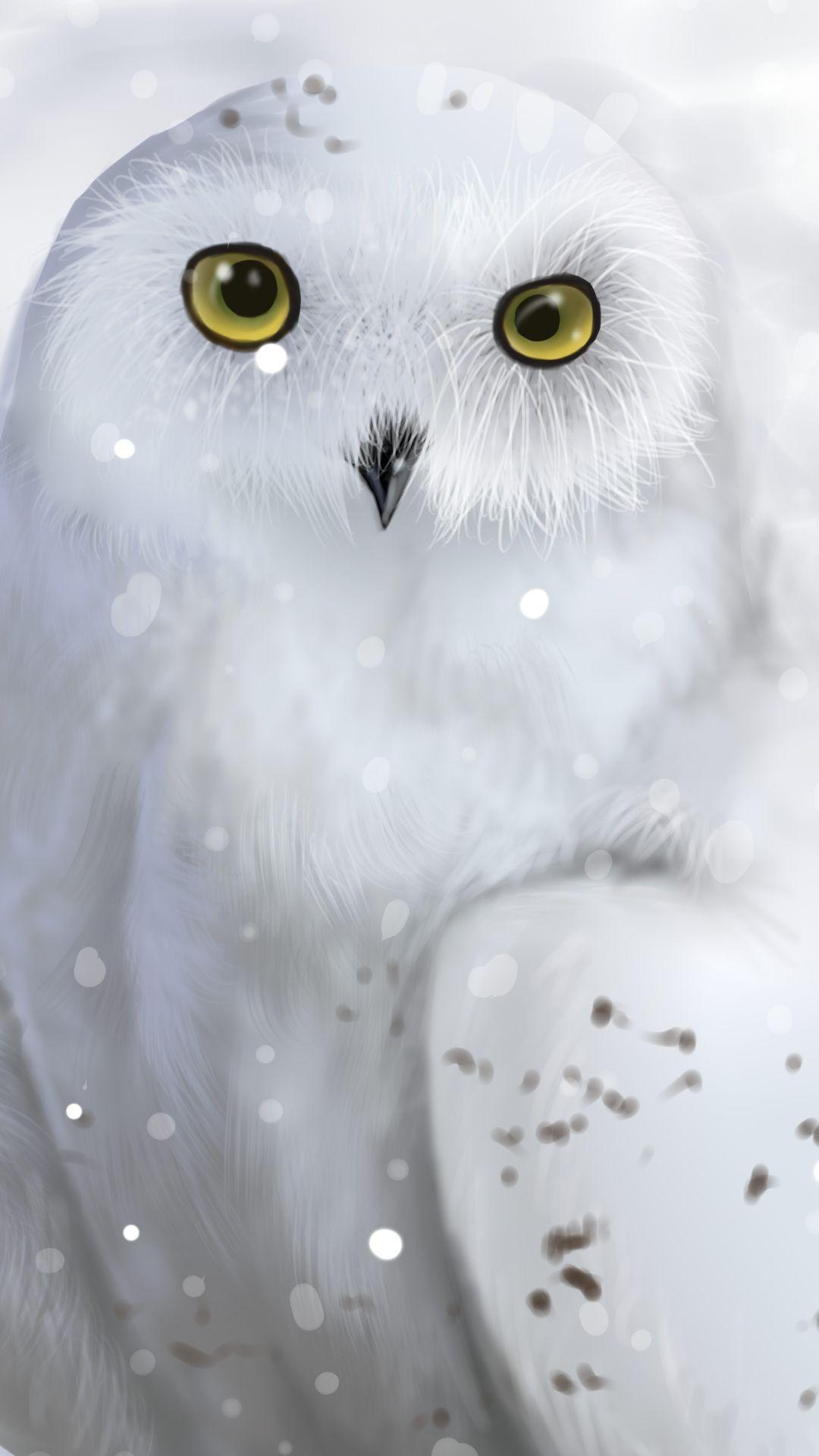 Snowy Owl (1080x1920) Mobile Wallpaper. Нарисовать сову, Картинки с совой, Чучело совы
