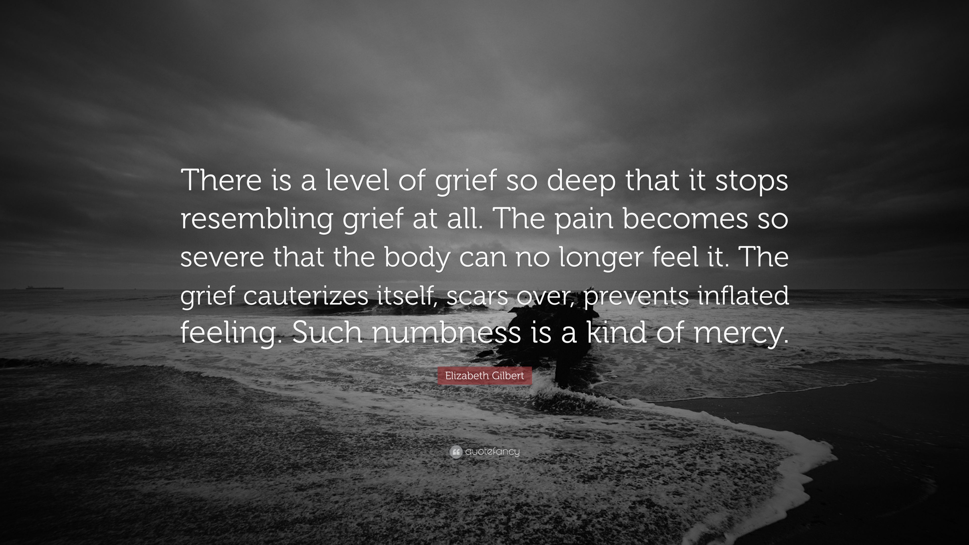 Elizabeth Gilbert Quote: “There is a level of grief so deep