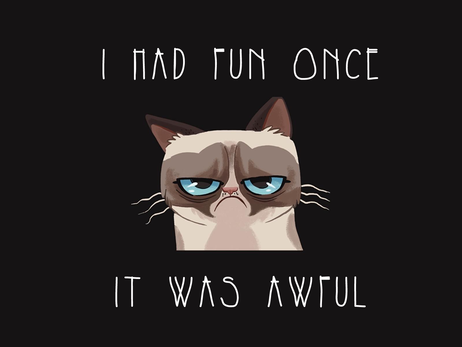 Download wallpaper 1600x1200 grumpy cat, cat, funny, sadness
