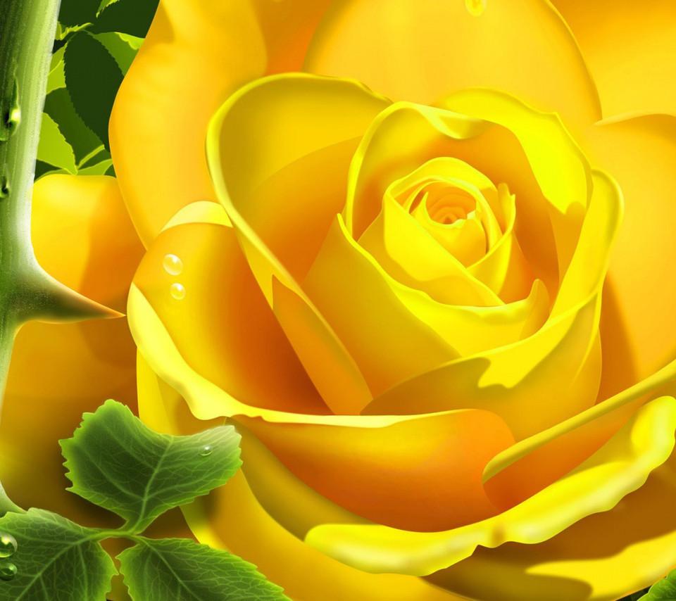 Flowers wallpaper for desktop background Gallery