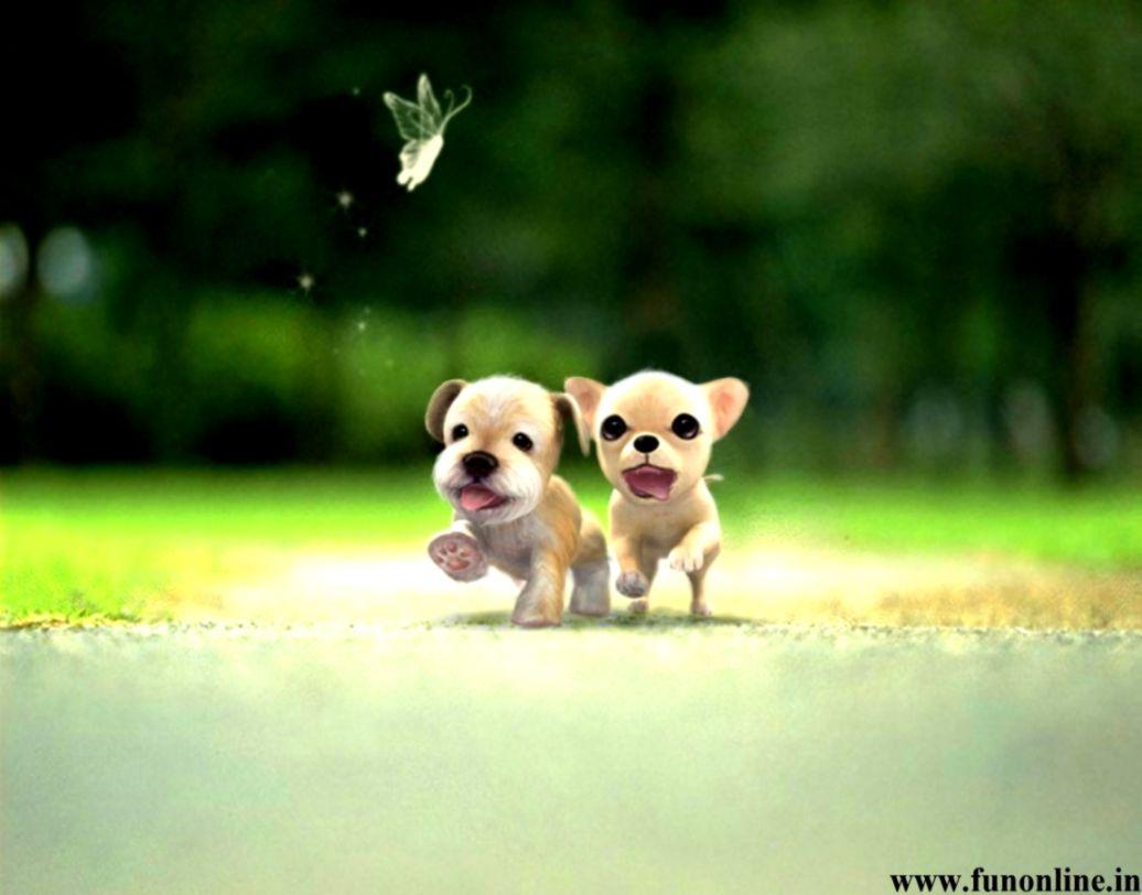 Cute Small Dogs Wallpaper