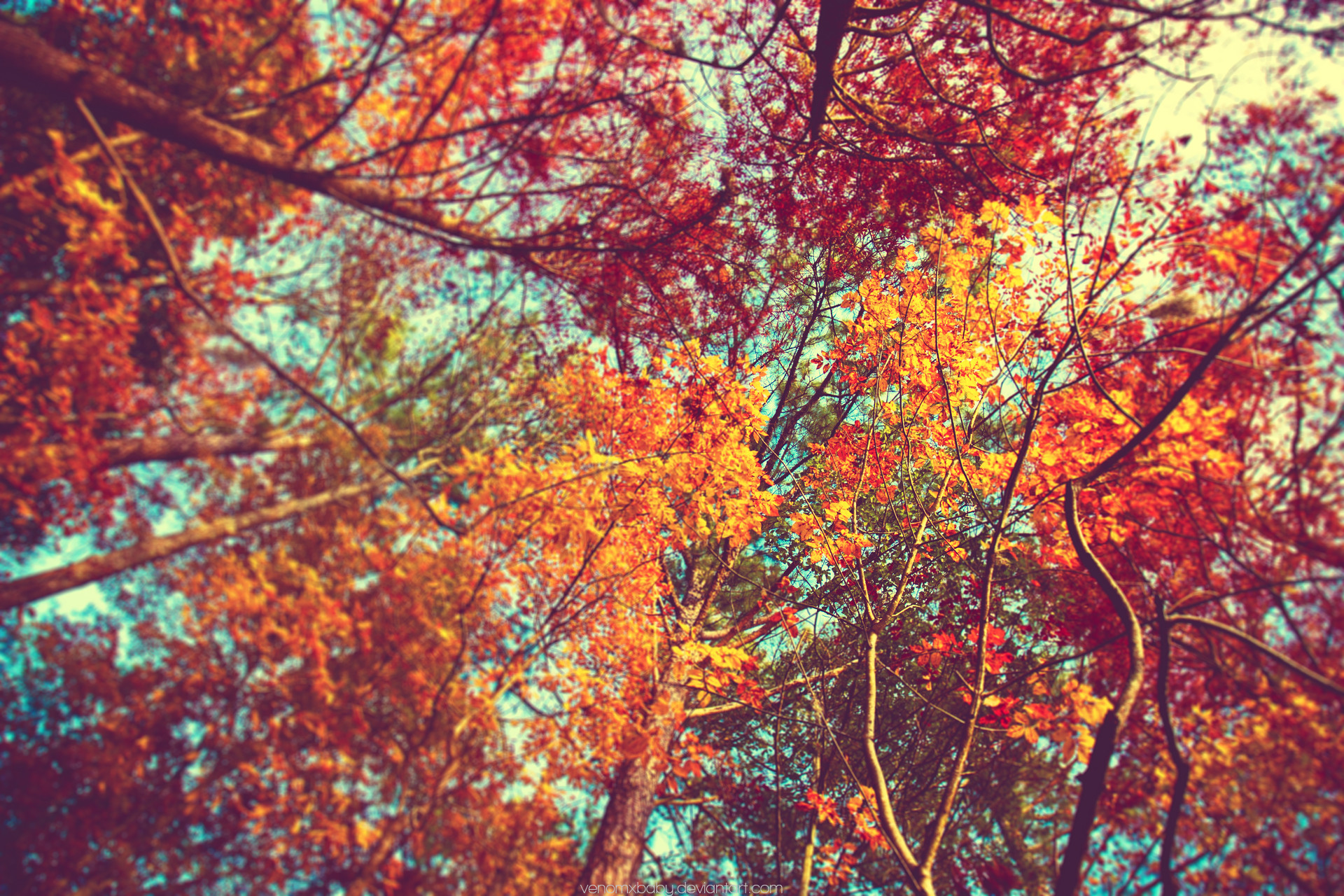 Autumn Desktop Wallpaper Background background picture