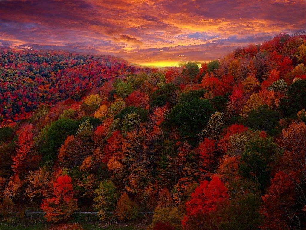 Breathtaking Fall Picture Photo Argus