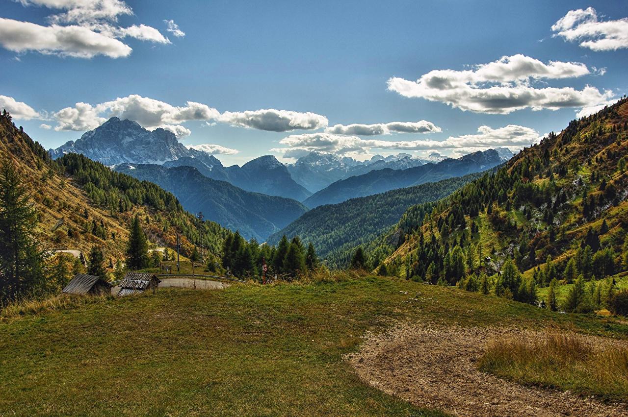 Desktop Wallpaper Italy Veneto Nature Spruce mountain Sky