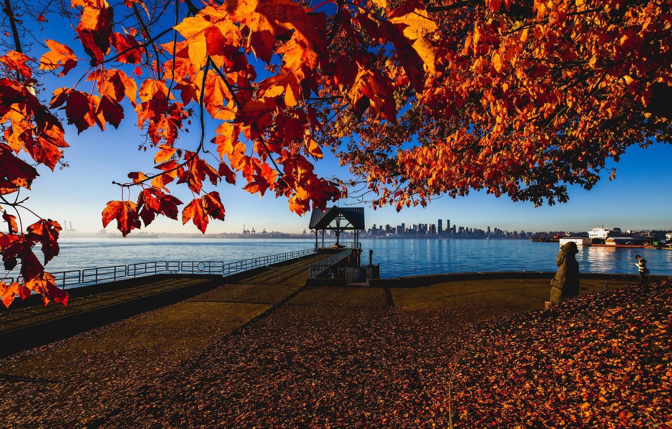Wallpaper autumn, Canada, Vancouver, Canada, Vancouver image for desktop, section город