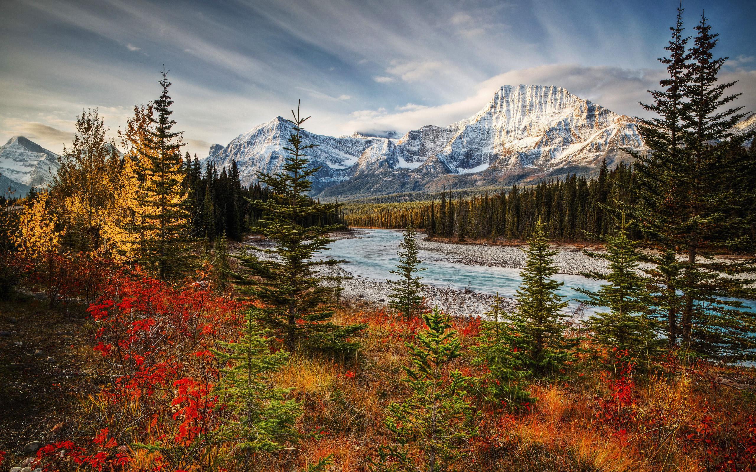 Download wallpaper Jasper National Park, autumn, forest, mountains, canadian landmarks, Sunwapta River, Alberta, Canada for desktop with resolution 2560x1600. High Quality HD picture wallpaper