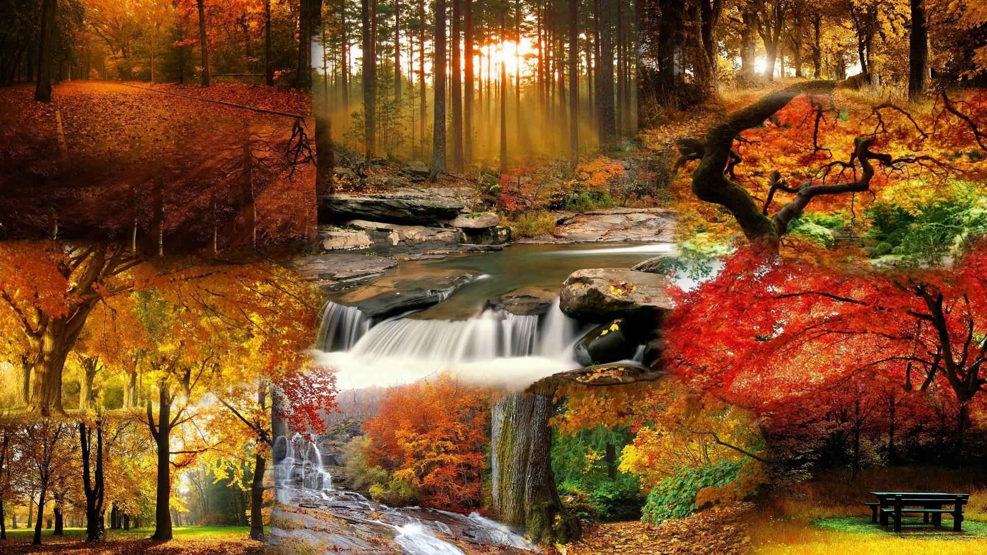 Fall Landscape Wallpaper