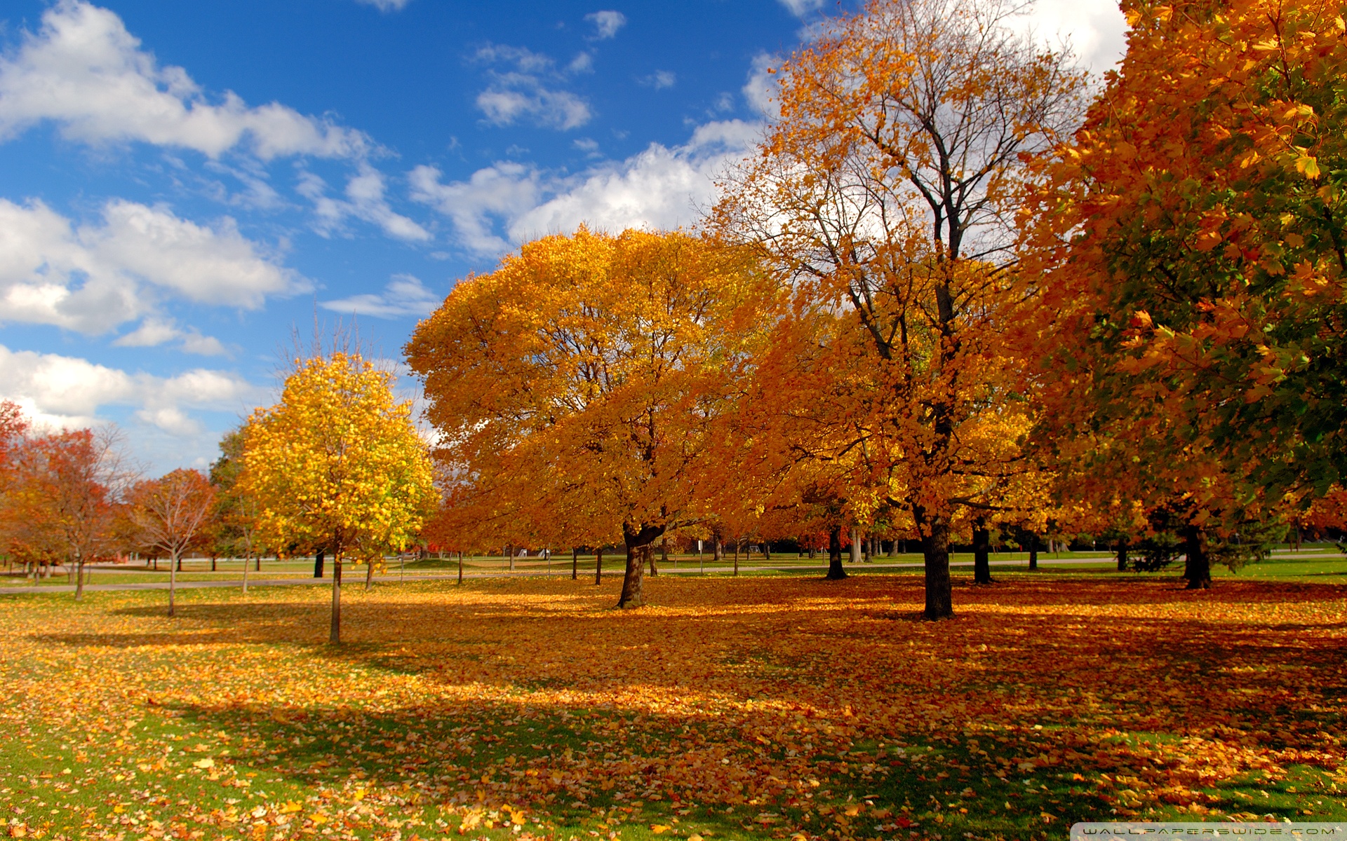 Autumn Park ❤ 4K HD Desktop Wallpaper for 4K Ultra HD TV