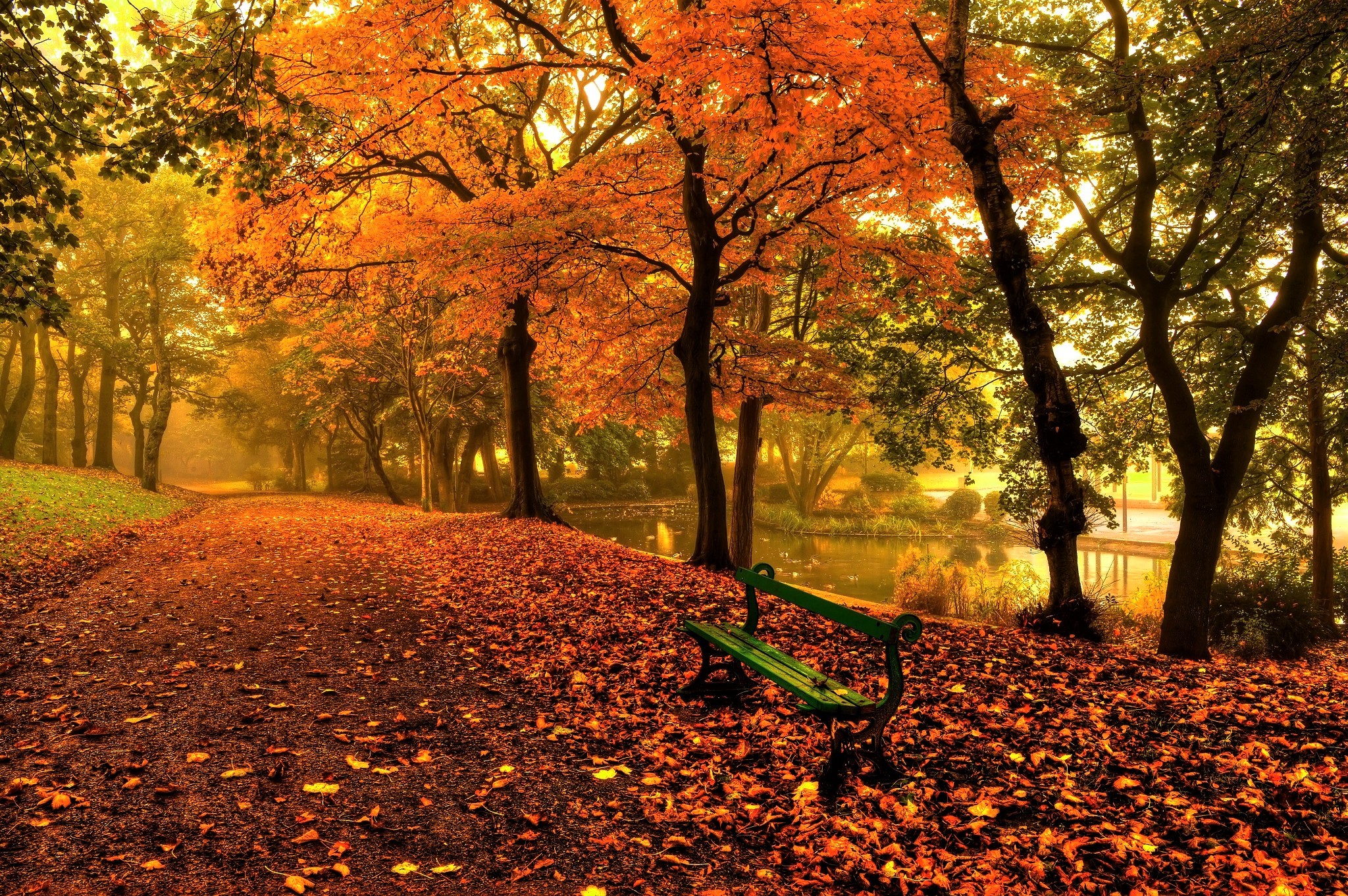 Autumn Park Bench HD Wallpaper