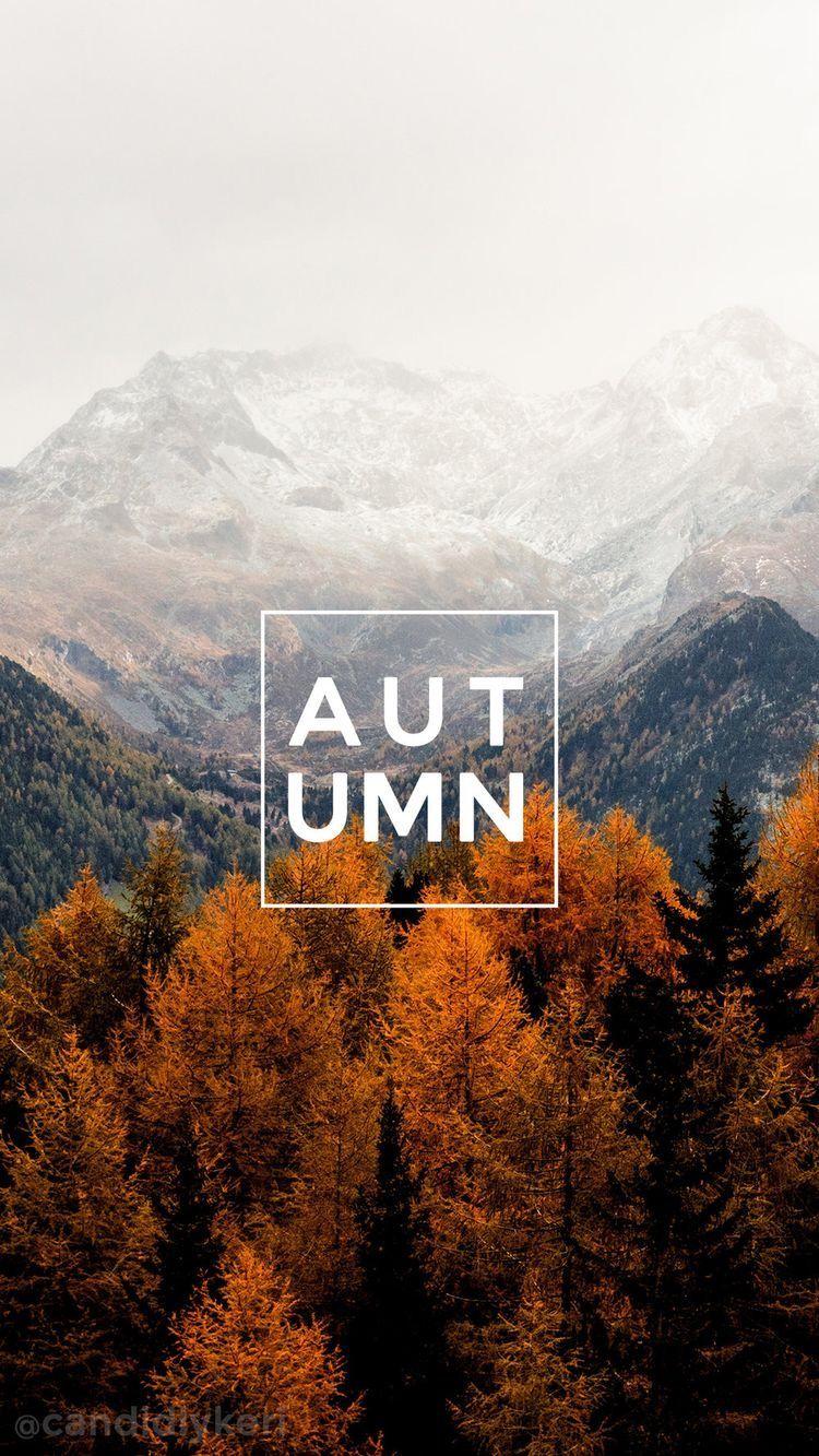 Autumn in the mountains. Automne Falling for Fall