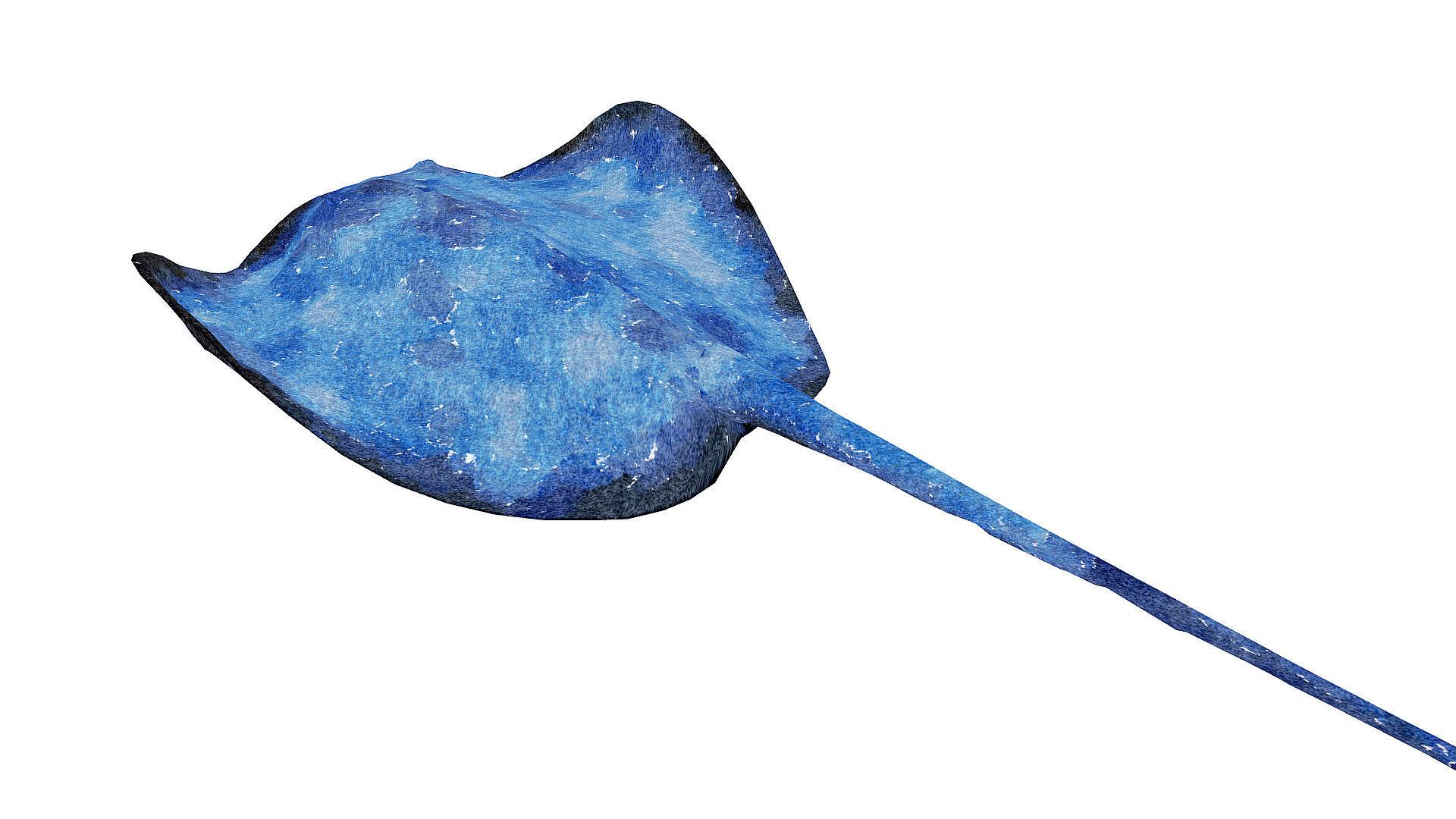Watercolor Stingray.com. Free for personal