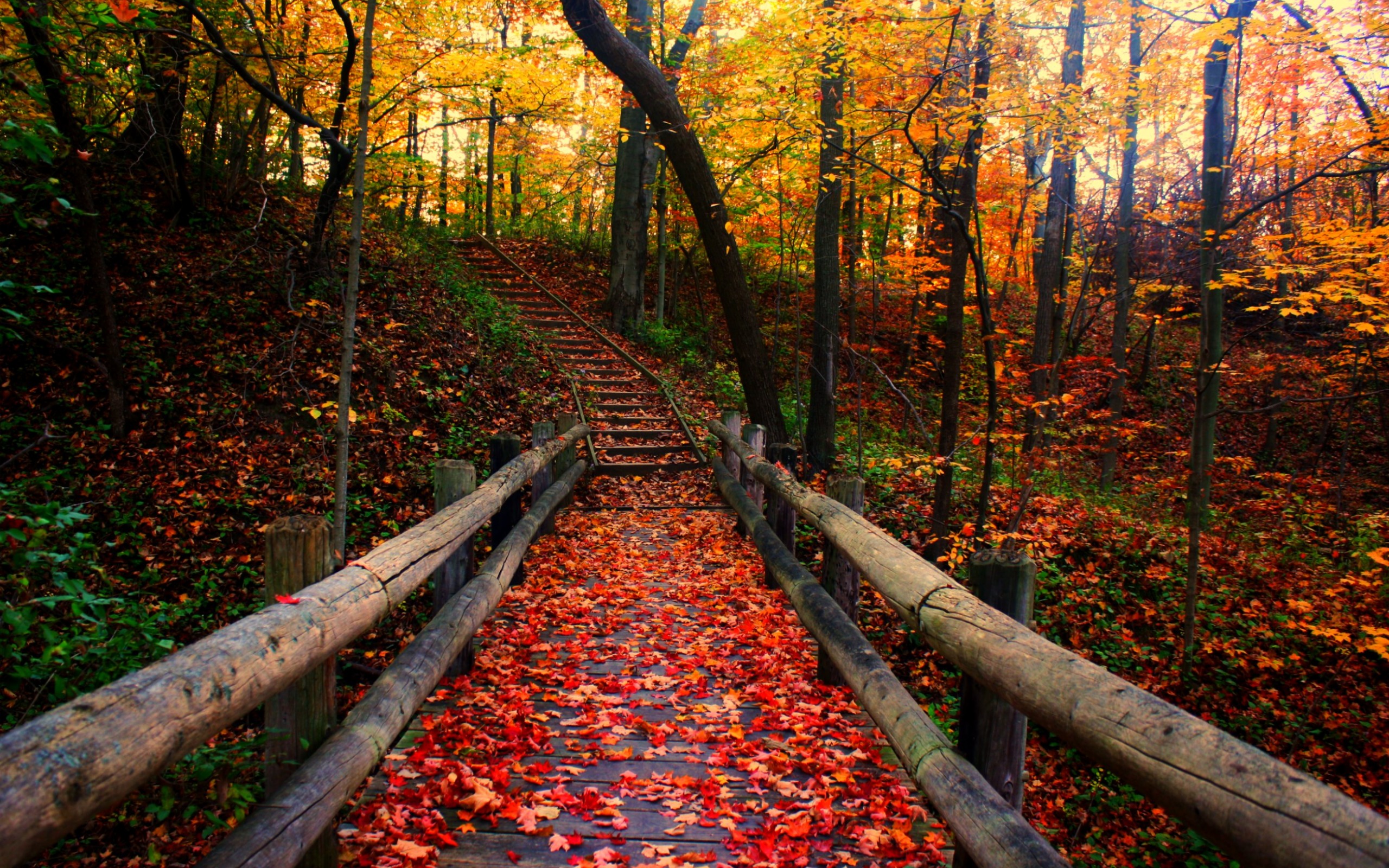 whimsical autumn pathways that are impossible not to fall
