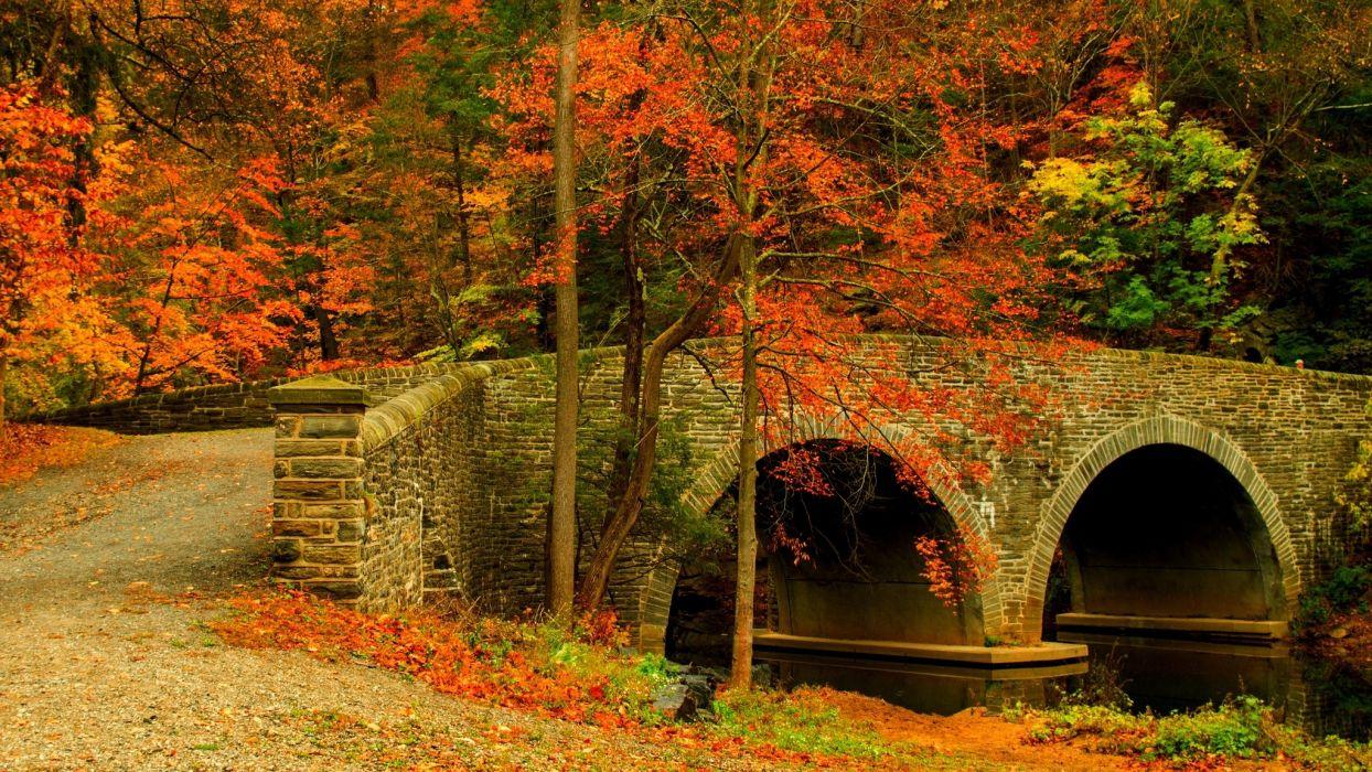 Nature road leaves trees forest park bridge colorful path autumn wallpaperx1152