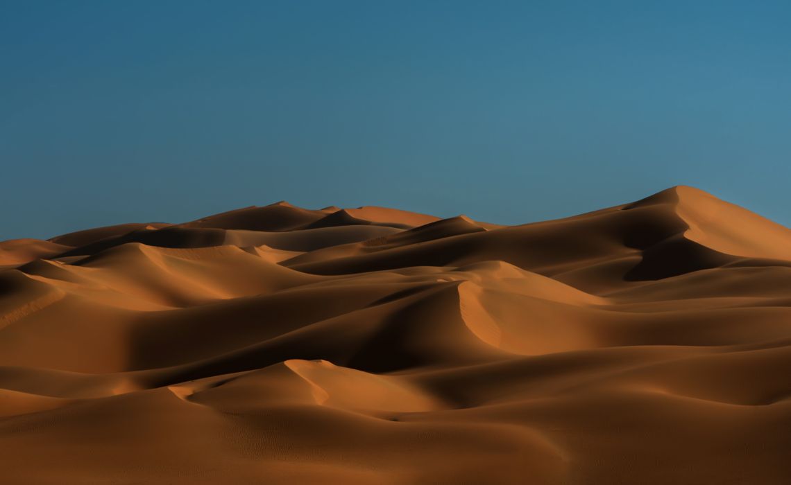 Landscape Rub Al Khali Desert United Arab Emirates Arabia