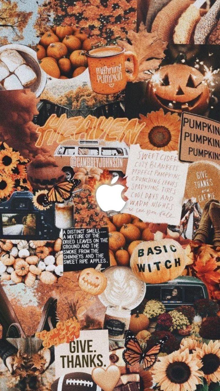 Halloween Iphone Wallpapers Orange Wallpaper, Pumpkin