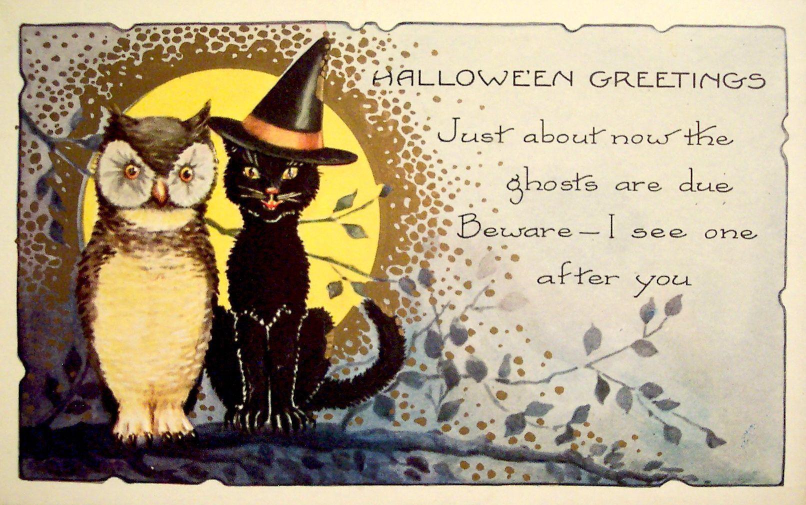 55+ Vintage Halloween Owl Wallpapers