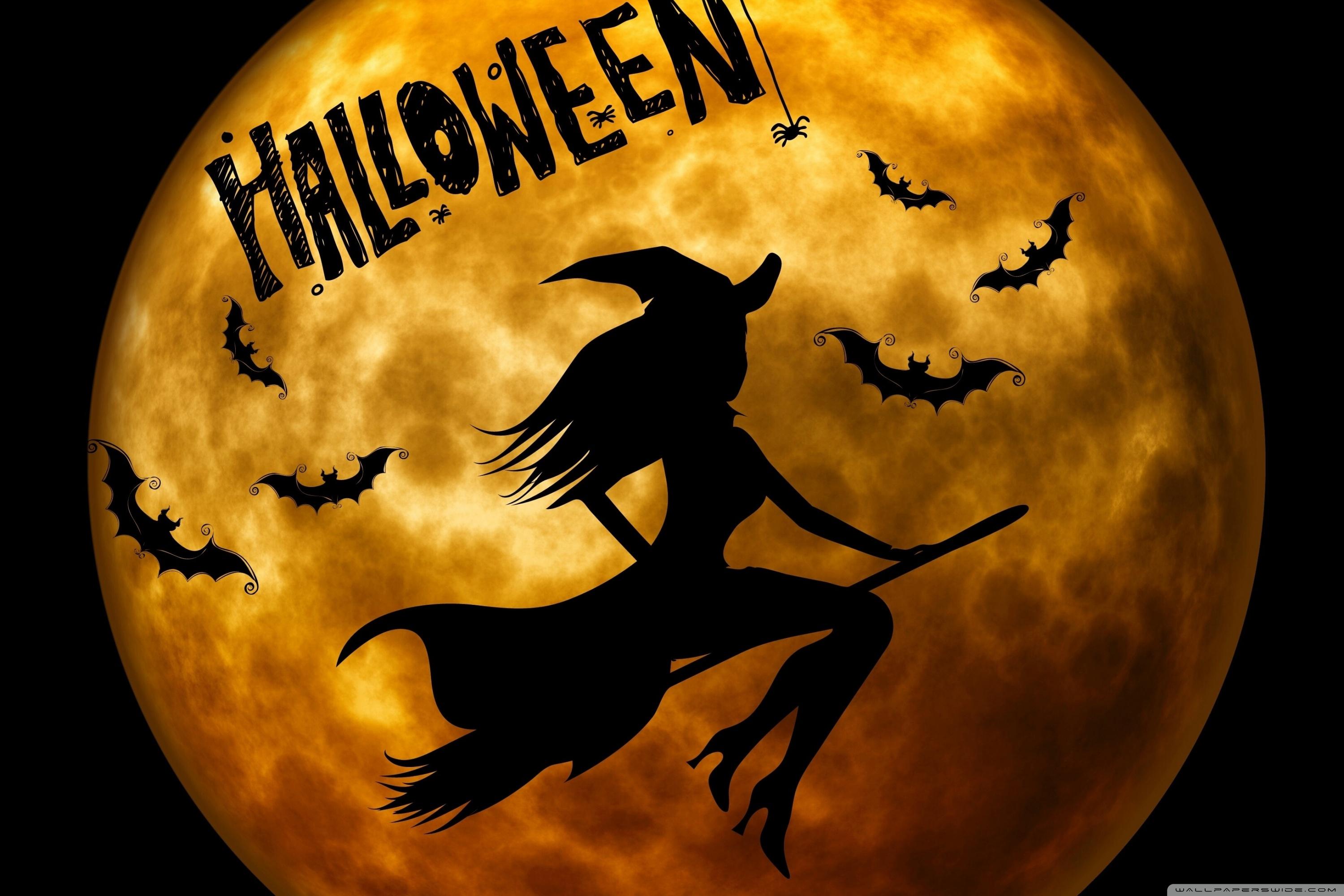 Halloween Witch on Broom Orange ❤ 4K HD Desktop Wallpaper
