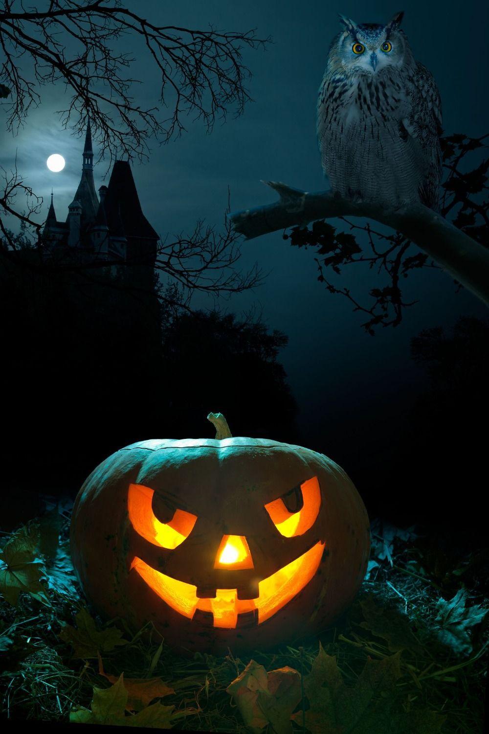 Photography Backdrop Pumpkin Castle Owl Halloween Background