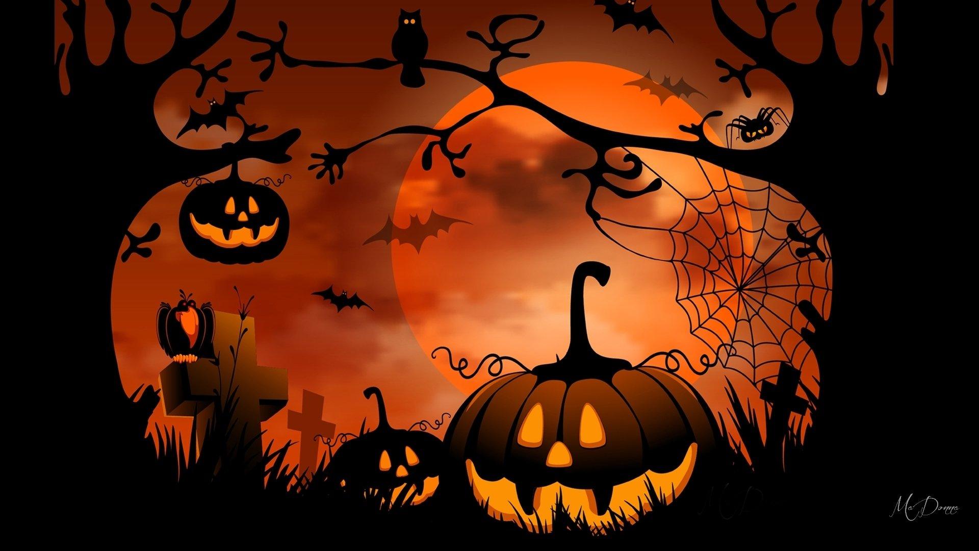 Owls and Spiders and Bats, oh my! HD Wallpaper. Background