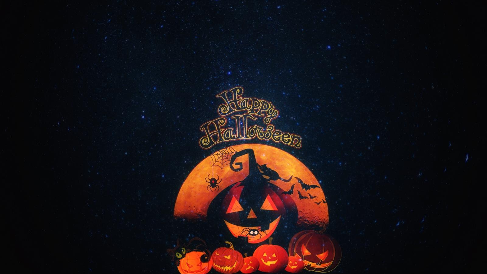 Download wallpaper 1600x900 halloween, pumpkin, autumn, cat, holiday widescreen 16:9 HD background