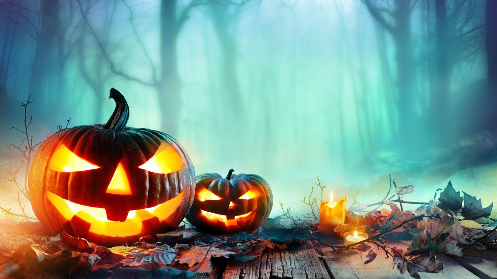 8k Halloween 1600x900 Resolution HD 4k Wallpaper