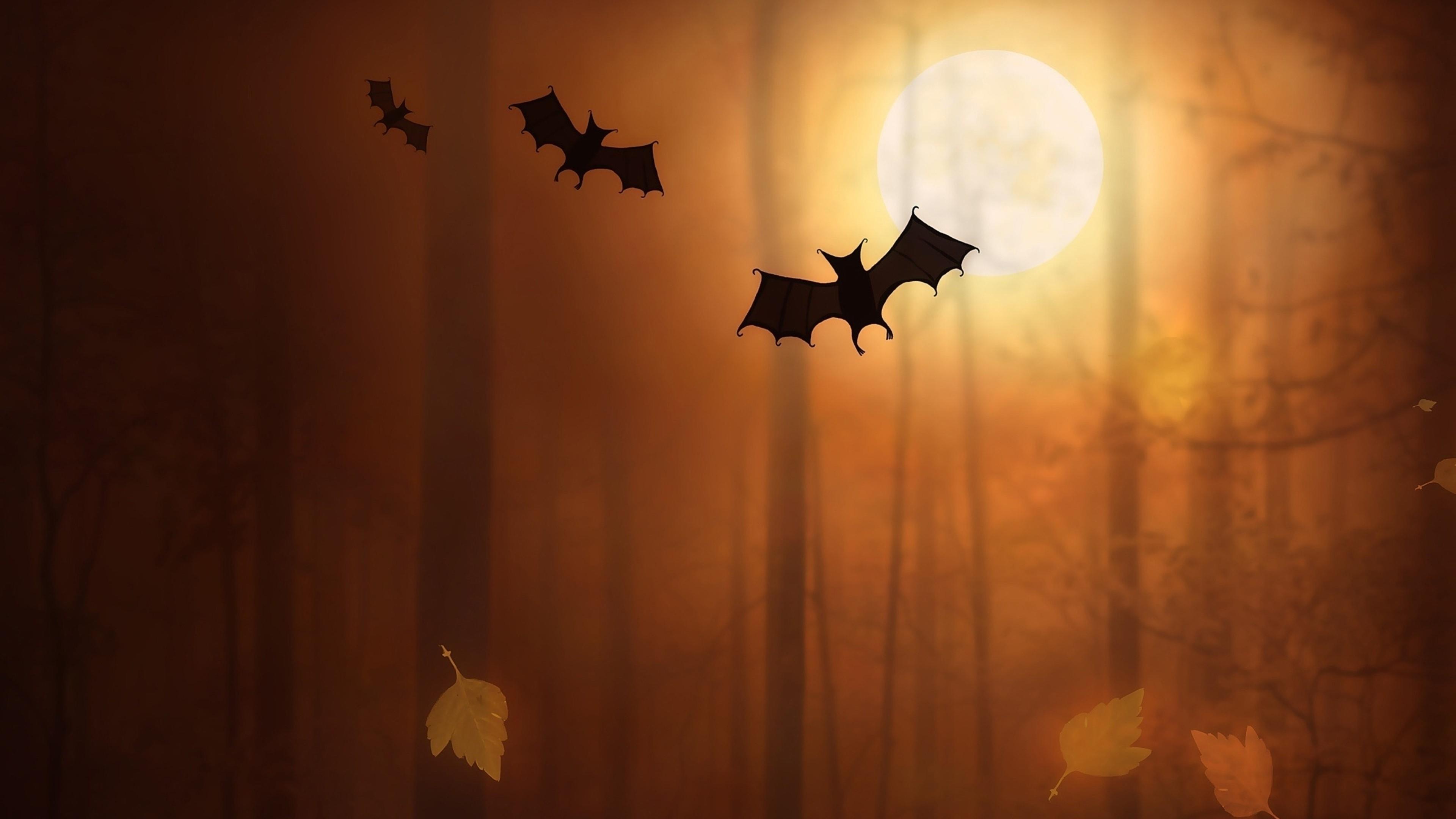 Halloween Bats 4K UltraHD Wallpaper. Wallpaper Studio 10