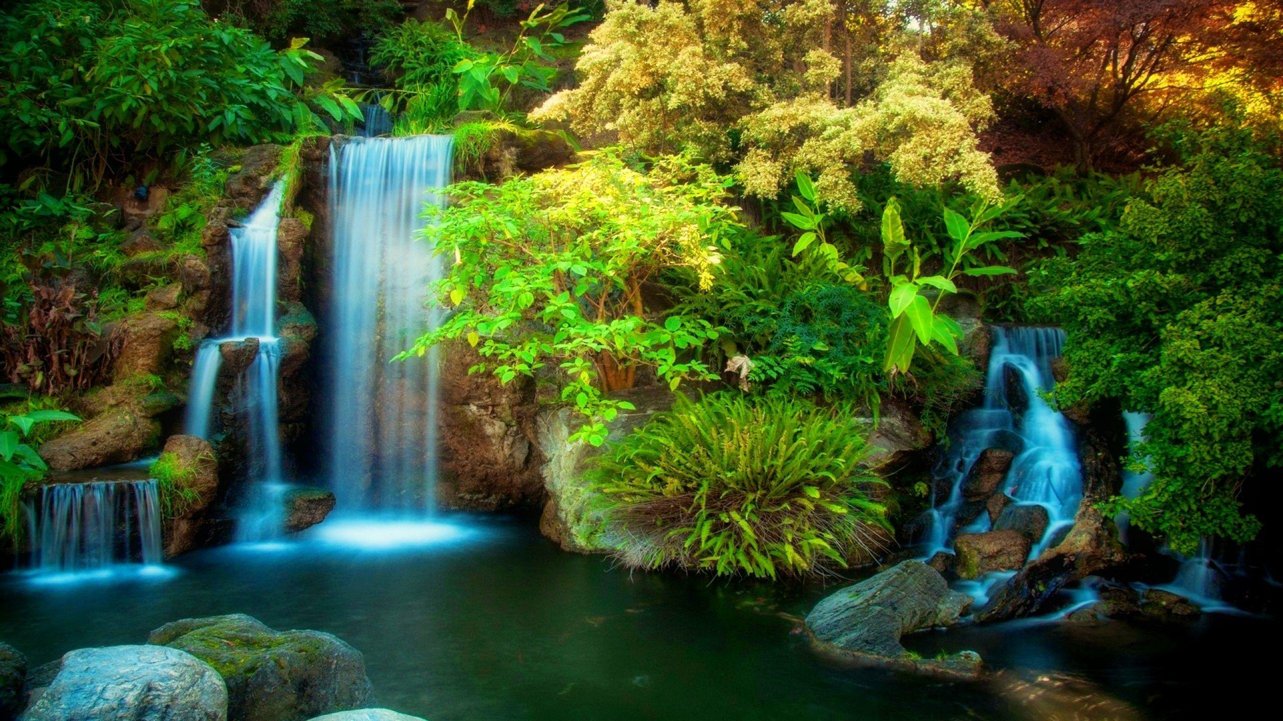 Amazing Forest Waterfall 34065