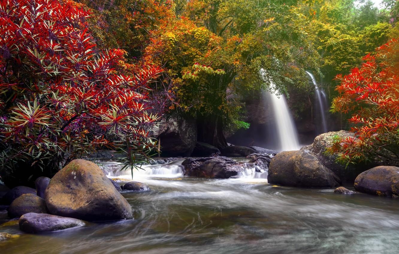 Wallpaper autumn, forest, water, trees, nature, river, waterfall, forest, cascade, river, nature, beautiful, autumn, waterfall image for desktop, section природа