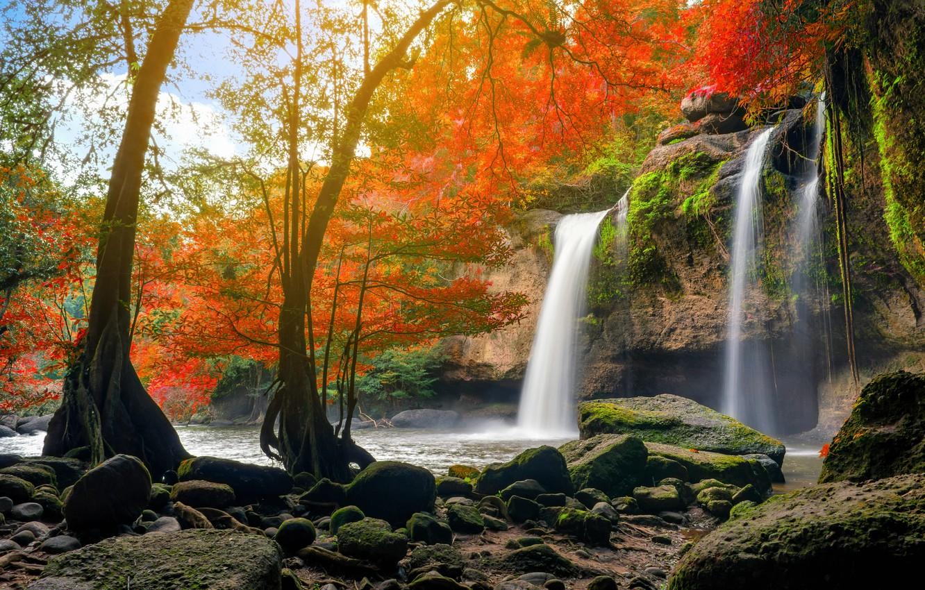 Wallpaper autumn, forest, water, nature, river, waterfall