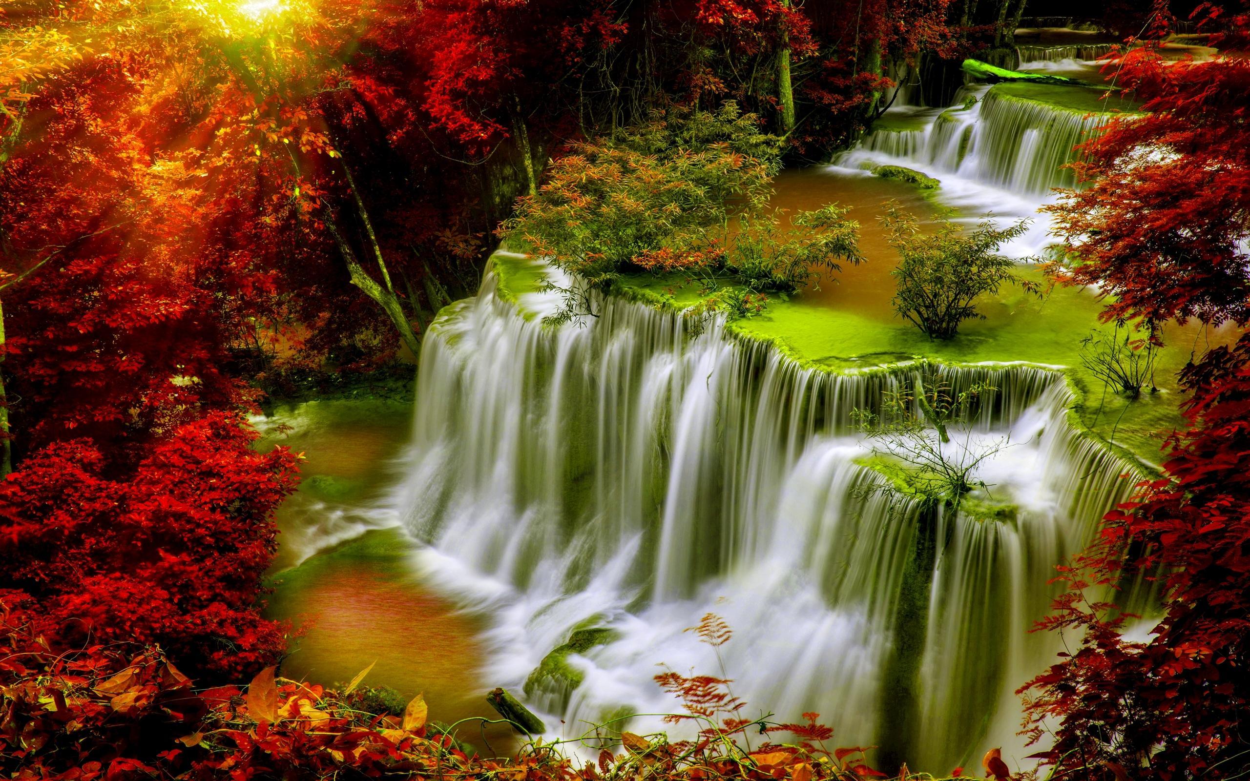 Cascade Falls Autumn Forest Red Leaves Sunlight Desktop HD